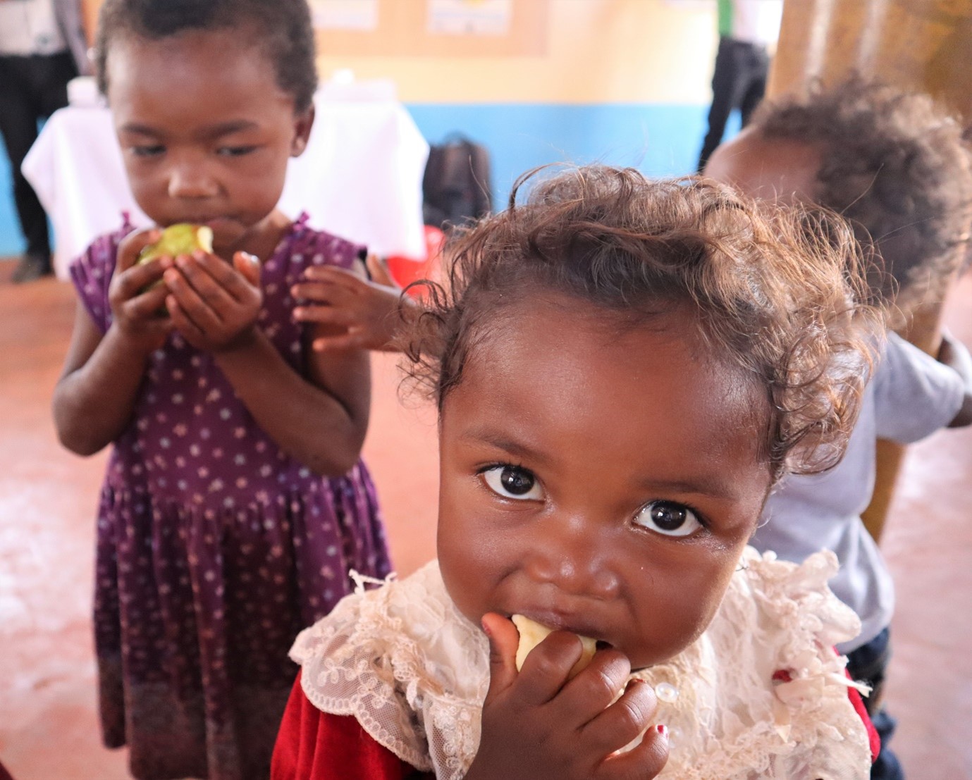 The Power of Nutrition with Palladium Impact Capital Nutrition Ventures: Increasing Domestic and Private Funding Together to Reduce Undernutrition